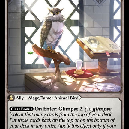 Owl Familiar