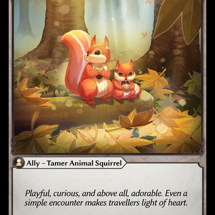 Woodland Squirrels