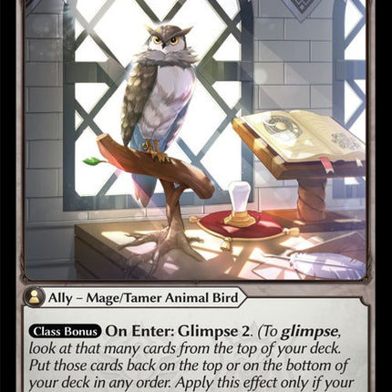 Owl Familiar [DOA Alter - 101]