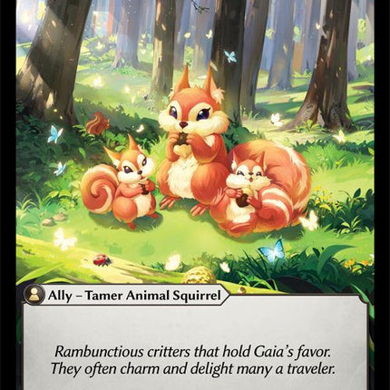 Woodland Squirrels [SP1 - 019]