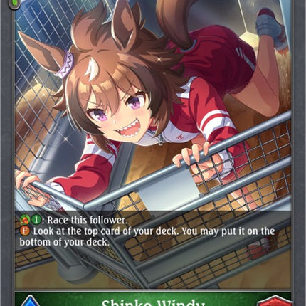 Shinko Windy