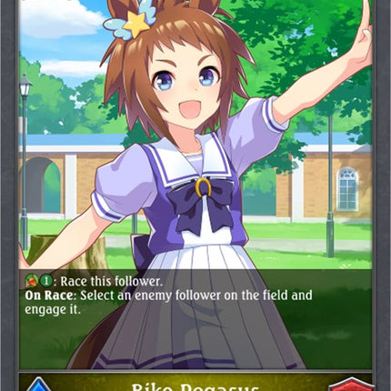 Biko Pegasus