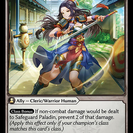 Safeguard Paladin