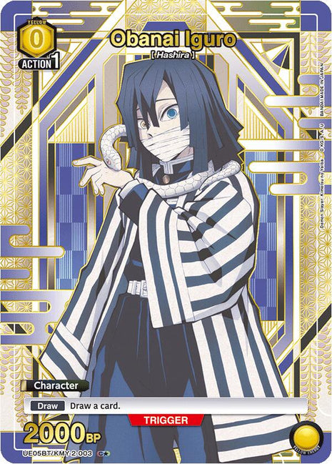 Obanai Iguro (003) (C*)