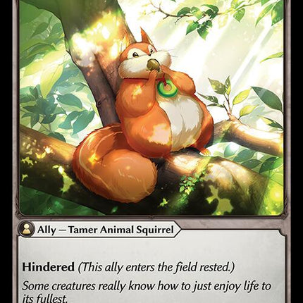 Rotund Squirrel [HVN - 061]