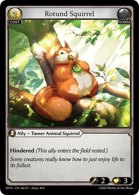 Rotund Squirrel [HVN - 061]