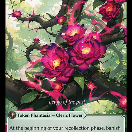 Washuru [HVN - 213]
