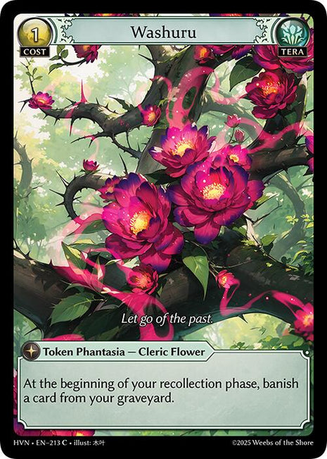 Washuru [HVN - 213]