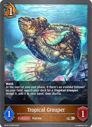 Tropical Grouper [BP10 - BP10-072EN]