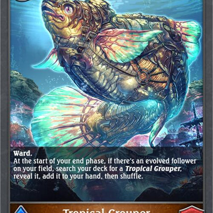 Tropical Grouper [BP10 - BP10-072EN]