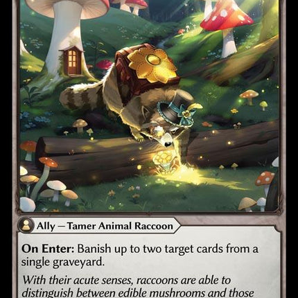 Scavenging Raccoon [DTR1E - 090]