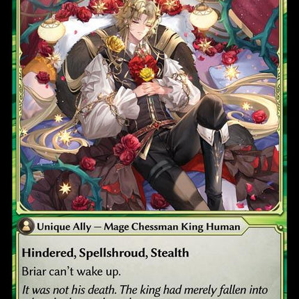 Briar, Schwartz King [DTR1E - 172]