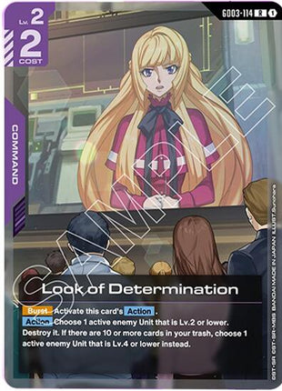 Look of Determination