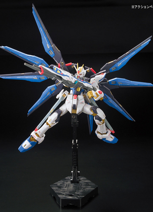 RG 1/144 #14 ZGMF-X20A STRIKE FREEDOM GUNDAM