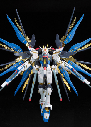 RG 1/144 #14 ZGMF-X20A STRIKE FREEDOM GUNDAM