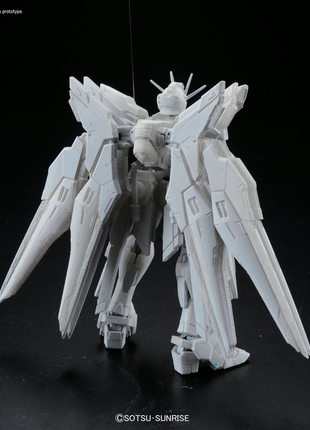 RG 1/144 #14 ZGMF-X20A STRIKE FREEDOM GUNDAM