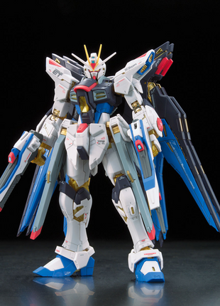 RG 1/144 #14 ZGMF-X20A STRIKE FREEDOM GUNDAM
