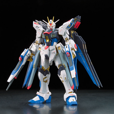 RG 1/144 #14 ZGMF-X20A STRIKE FREEDOM GUNDAM
