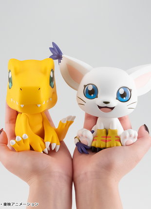 Lookup Digimon Adventure Agumon(Repeat)
