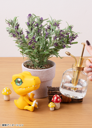 Lookup Digimon Adventure Agumon(Repeat)