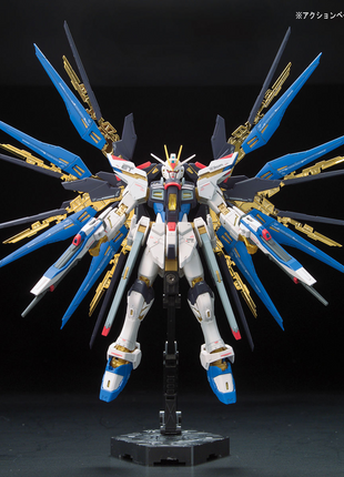 RG 1/144 #14 ZGMF-X20A STRIKE FREEDOM GUNDAM