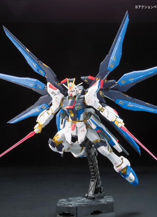 RG 1/144 #14 ZGMF-X20A STRIKE FREEDOM GUNDAM